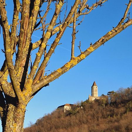 Burgblick Apartment- 60Qm, Kueche, Waschmaschine, Streamingdienste Seebenstein Экстерьер фото